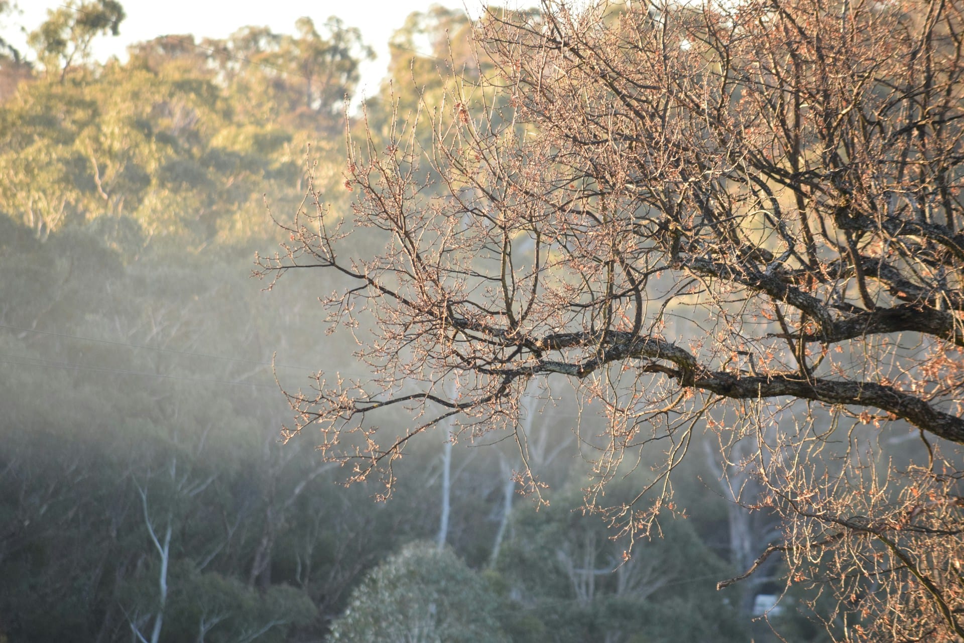 How To Check Air Quality at Your Cabin Remotely - without WiFi