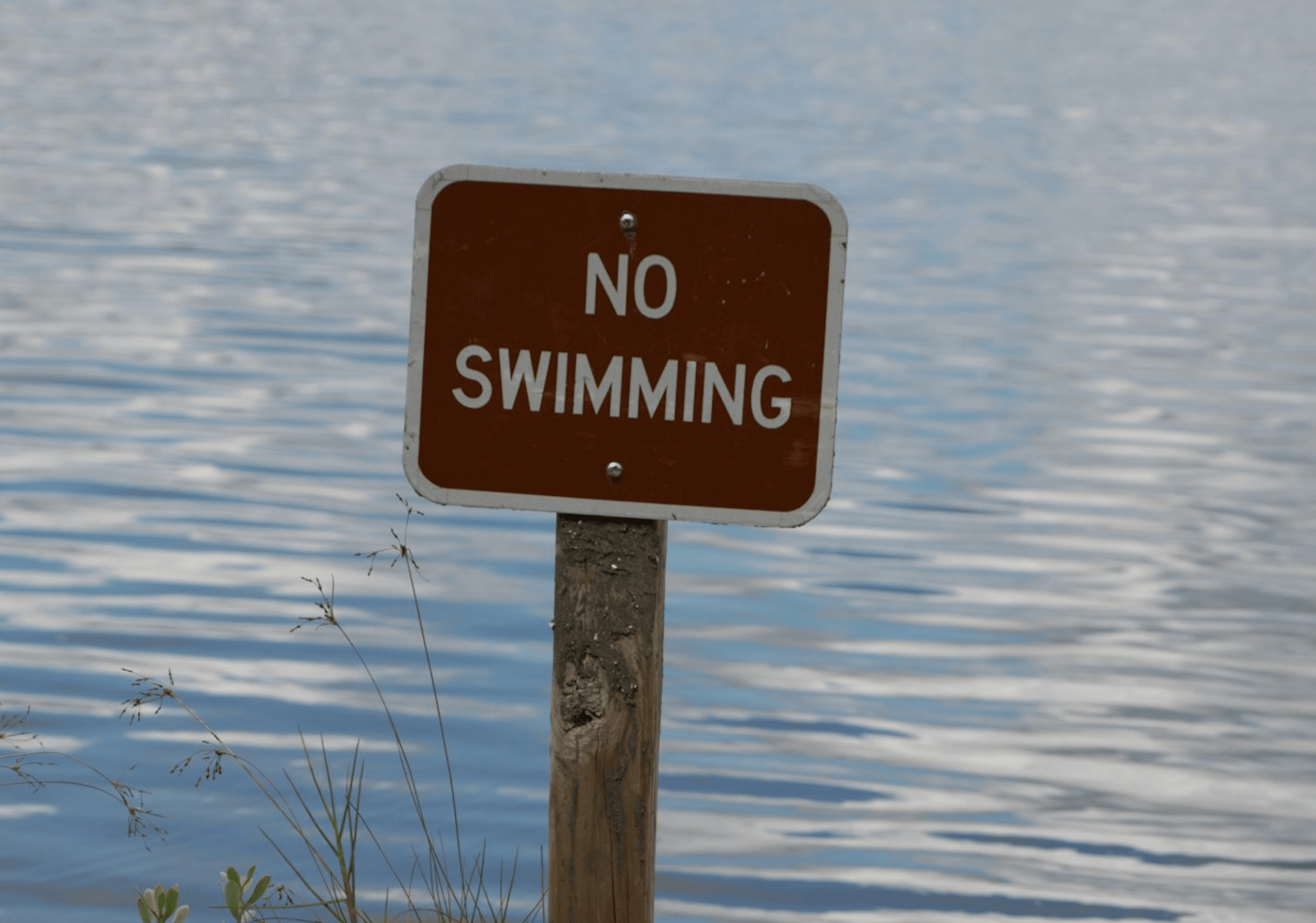 E. Coli Contamination Hits Two Popular Saskatchewan Lakes