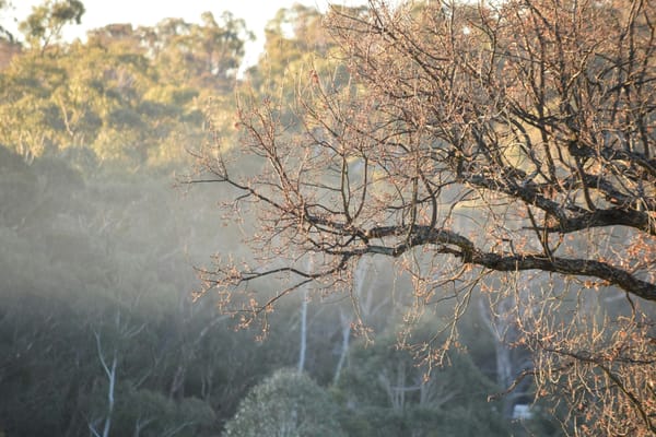 How To Check Air Quality at Your Cabin Remotely - without WiFi