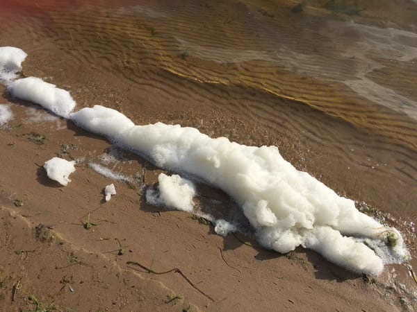 What's That Mysterious Foam On The Lake?