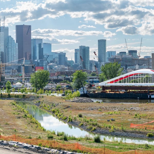 Toronto's Largest Park in a Generation Opens on New Island This Weekend