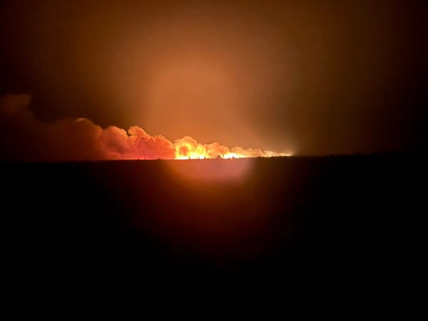 Wildfire Within 1 Kilometre As Musgrave Harbour Evacuated